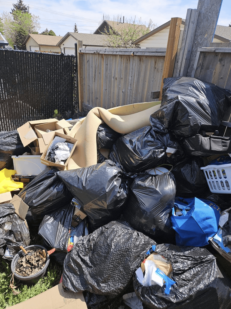 Backyard Junk Pile Removal